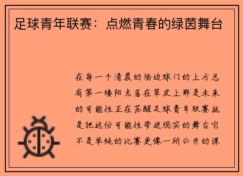 足球青年联赛：点燃青春的绿茵舞台